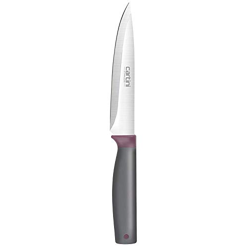 Godrej Cartini Stainless Steel Kitchen Knife, Grey and Purple