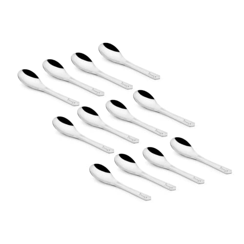 Parage 12 Pieces Stainless Steel Small Spoons for Container/Spice Jars | Masala Spoons | Small Spoon