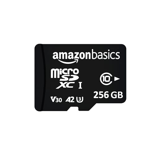 Amazon Basics 256 GB Micro SDXC Memory Card | 180 MB/s Read | Memory Card for 4K Video on