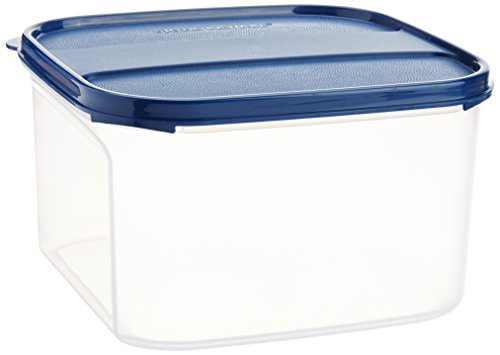 Signoraware 2.6 Litres Modular Multi-Purpose Plastic Containers with Lid for Kitchen Storage | Food