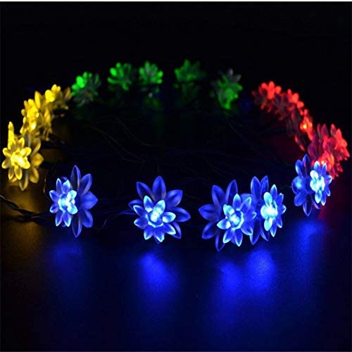 KharidoLive 20 LED Lotus Flower Decorative Fairy String Lights for Home Decoration (4 Meter Long,