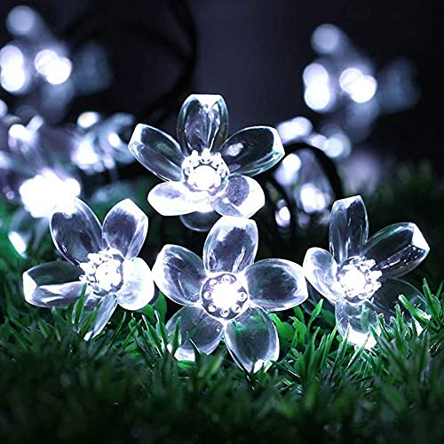 ignitate 42 LED Silicon Blue Flower Fairy String Lights, 12 Metres, Ideal for Christmas Tree,