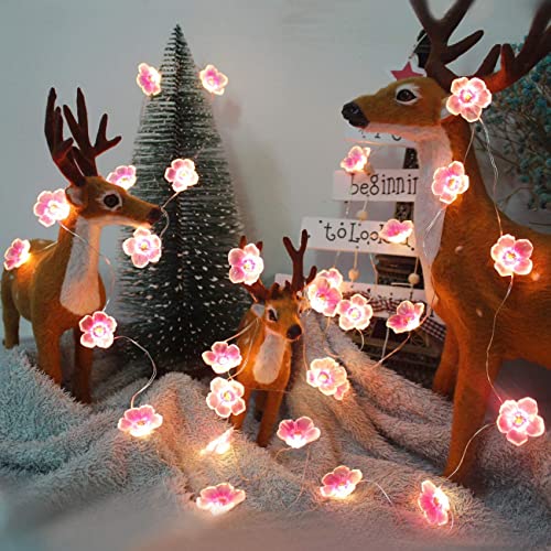 GLOWSERIES Flower String Lights, Cherry Blossom Lights 7FT 16 LEDs Fairy Lights Battery Operated