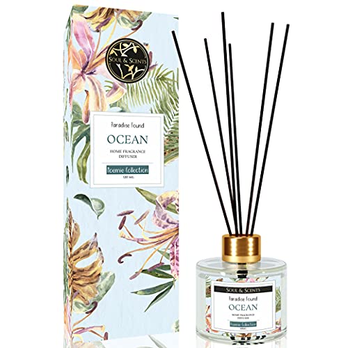 Soul & Scents 120 ml Ocean Reed Diffuser Set | Free 6 Fiber Reed Sticks |Toxin Free & Stress Relief