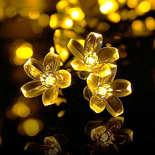 PESCA Flower Fairy String Lights for Diwali,Christmas & Home Decoration Lights(3 Meter & 20 LED)
