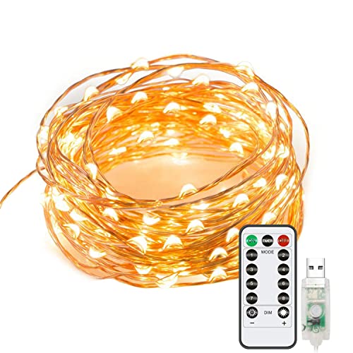 LTETTES 5 Meter 50 Led USB Powered Waterproof White Wire Warm White Led Fairy String Lights with