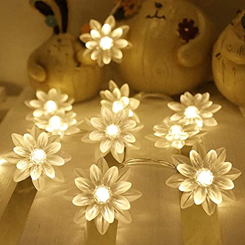 SIXFIRE® Premium 16 LED Flowers String Lights, Indoor/Outdoor, Fairy for Diwali