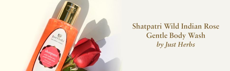 Shatpatri Wild Indian Rose Body wash