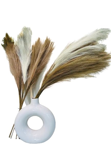 Indus Decor Aesthetic Artificial Pampas Grass Flowers - Set of 4 Fluffy Stems for Home, Office,
