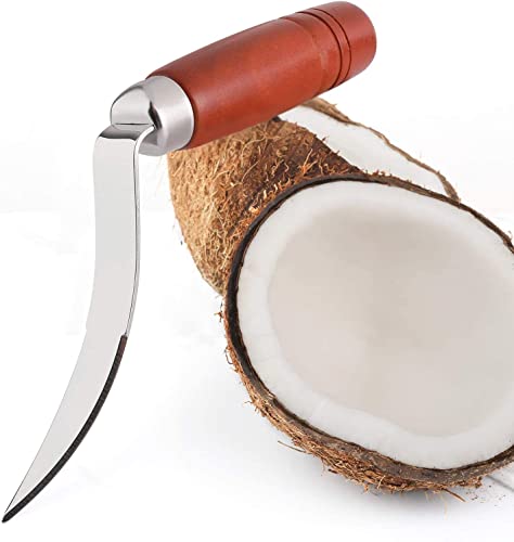 TASKHOUSE Coconut Tool Coconut Meat Remover Durable Wooden Handle Multi Purpose Fruit Knife Tool