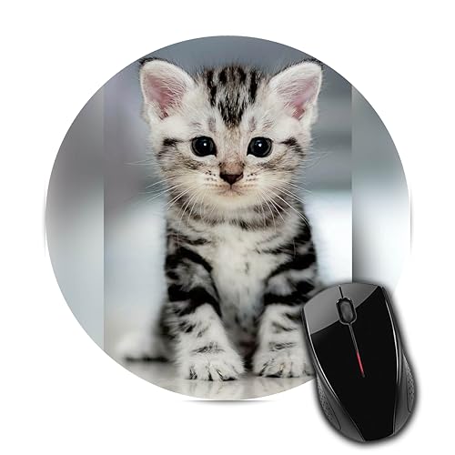 AG BRAND Cat Theme Anti Slip Rubber Base Round Mouse Pad Desktops Computer PC and Laptop for Office