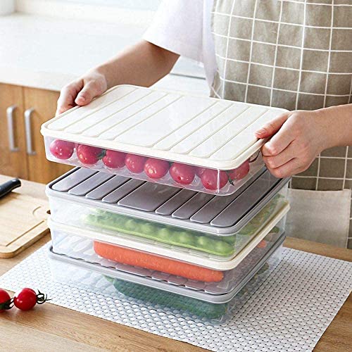 Panchhi Store Fridge Storage Boxes Container For Kitchen Storage Plastic Storage Containers With Lid