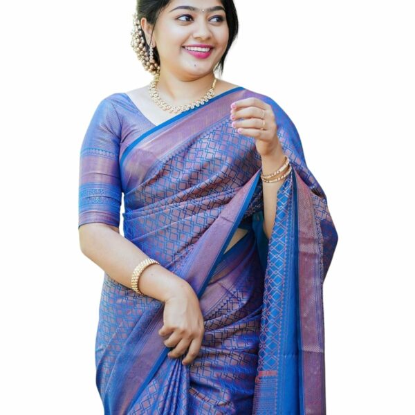 C J Enterprise Women's Pure Kanjivaram Soft Silk Saree for Wedding With Blouse Piece (BS-09 Paithani)