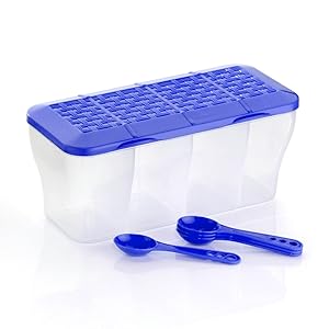 container with Spoon