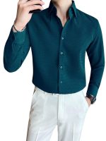 GRECIILOOKS Men's Regular Fit Shirt