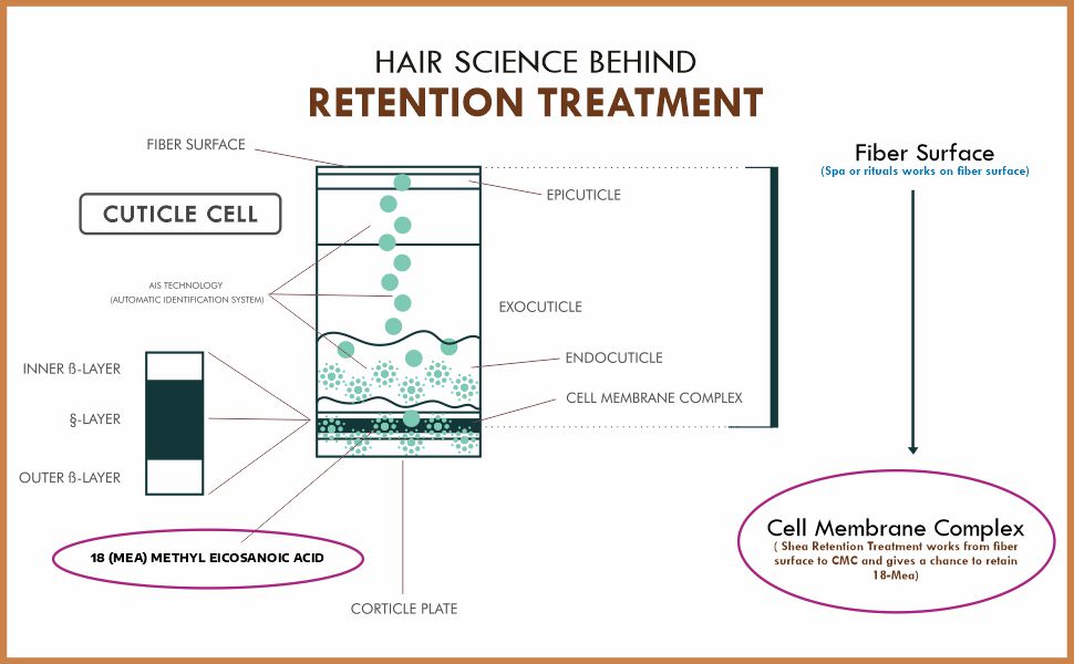 Shea Hair Science