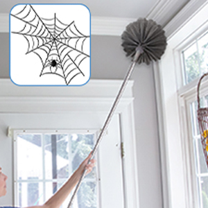 Cobweb Duster