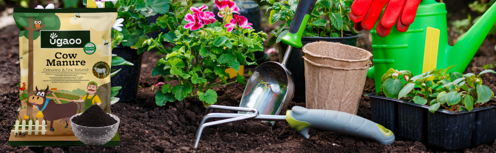 organic cow dung manure for home garden