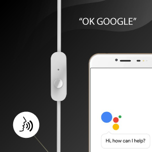 Voice Assistant