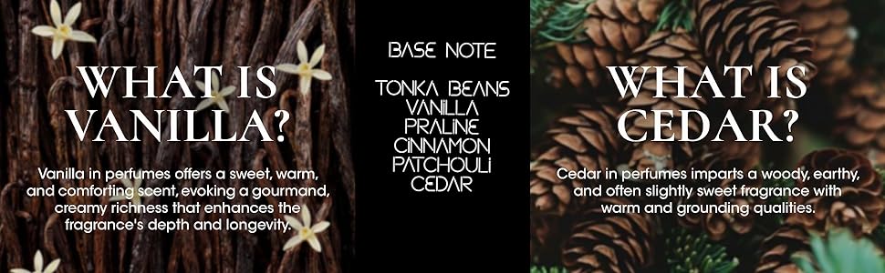 BASE NOTE - CEDAR, VANILLA, PRALINE, TONKA BEANS, CINNAMON, PATCHOULI