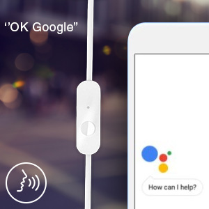 Voice Assistant