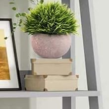 Faux Plants For Indoor Tabletop Desk and Office Decor