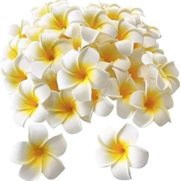 VRB Dec™ 12Pcs Artificial Big Foam Hawaaii Fake Foam Water Floating Flowers for Pooja Thali, Festival and Events, Home, Table, Badroom, Pooja Room, Diwali Decoration Items and DIY Craft (White, 12)