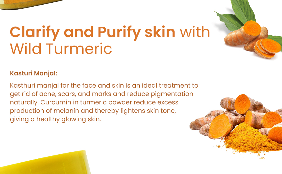 Wild turmeric powder