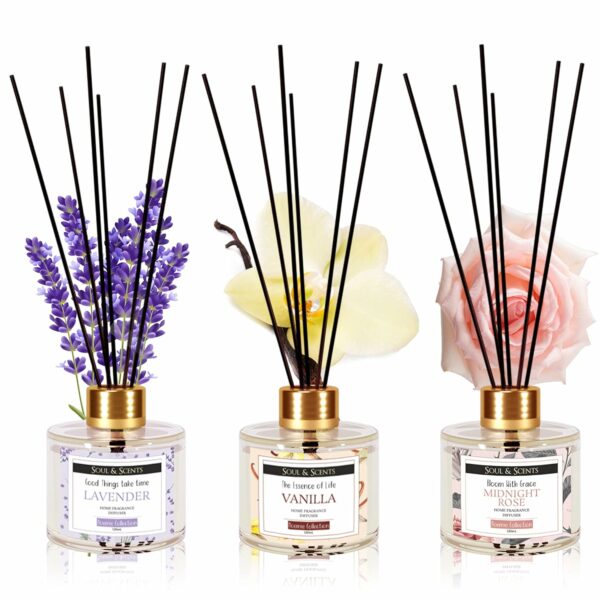 Soul & Scents Lavender, Vanilla and Midnight Rose Reed Diffuser Set-120 ml with 6 Sticks Each | Fine Living Fragrance for Office, Home, Gym and Yoga | Mood Enhancer | Combo Pack of 3