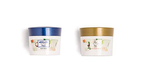 Amway Attitude Be Bright Herbals Day Cream and Night Cream Set ( Net 50g *2)