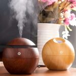 Bare Elixir cool mist ultrasonic humidifier for room essential oil diffuser for home, aroma diffuser with colorful led night light, electric diffuser for car, office (Misty)