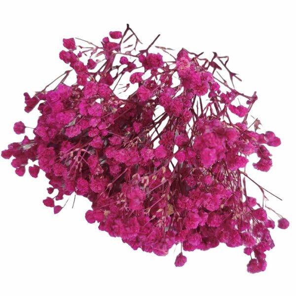 Magenta Baby Breath/Gypsy Flower for Hair Styling Hair Accessories for Wedding Parties-Pack of 10gms Box | Bridal Hair Accessories