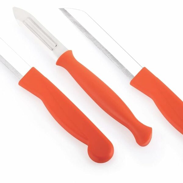 Ritu Stainless Steel Kitchen Knife Set of 3, Multicolor, Small (J-284)