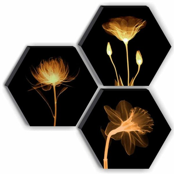 SAF Set of 3 Hexagon Preety Brown Floral UV Textured MDF Home Decorative Gift Item Painting 17 Inch X 17 Inch SANFHX15SMALL