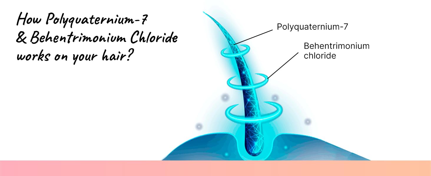 polyquaternium-7 , behentrimonium chloride, cetrimonium chloride