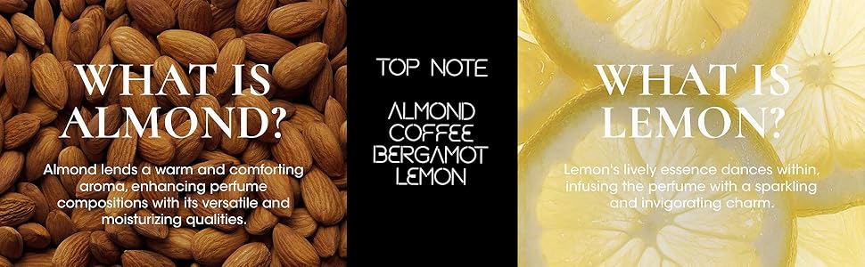 TOP NOTE - ALMOND, COFFEE, BERGAMOT, LEMON