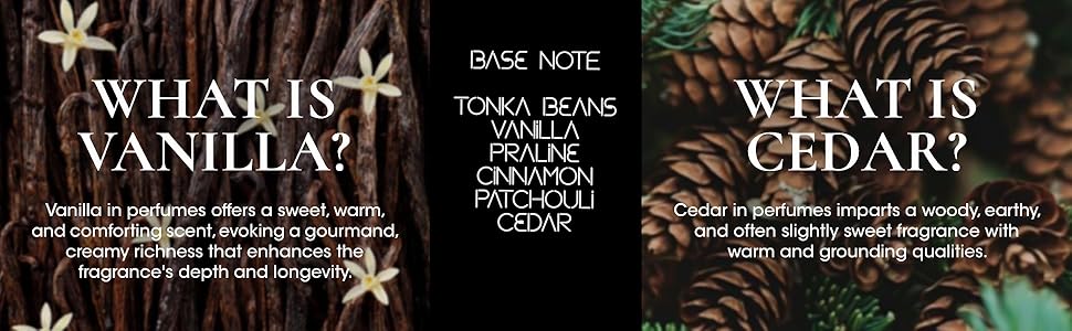 BASE NOTE - CEDAR, VANILLA, PRALINE, TONKA BEANS, CINNAMON, PATCHOULI