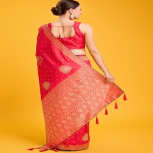 Beautiful pallu saree