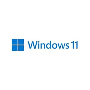 Windows 11