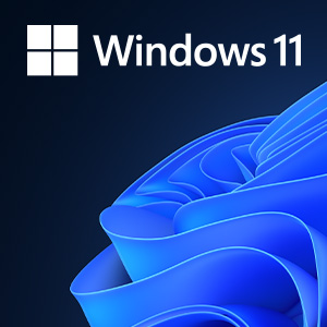 Windows 11