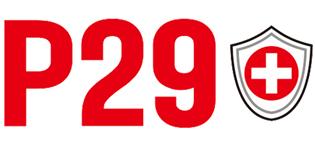 P29 Logo Korea