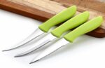 GANESH Stainless Steel Knife Set, 3-Pieces, Green, Blue and Pink