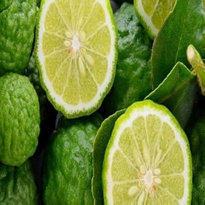 Bergamot