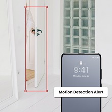 AI Motion Detection