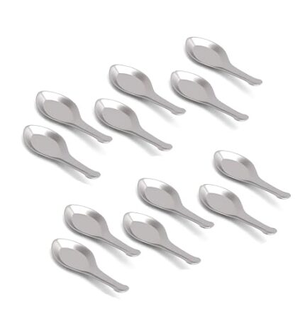 Kitchen Expert - Stainless Steel Masala Spoons | Set of 12 | Mini