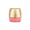 Lakme Face Sheer Blusher, Desert Rose | 4g | Highlighter for Face - Image 2