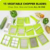 Rylan 15 in 1 Multipurpose Chopper, Fruits & Vegetable Cutters, - Image 5