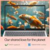 HP 15 Intel Core i5 13th Gen (8GB Ram/512GB SSD/Fhd/Windows 11/Ms - Image 9