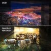 Samsung 163 cm (65 inches) 4K Ultra HD Smart OLED TV - Image 6