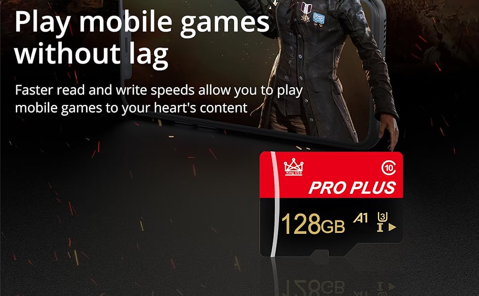 Micro SD Card